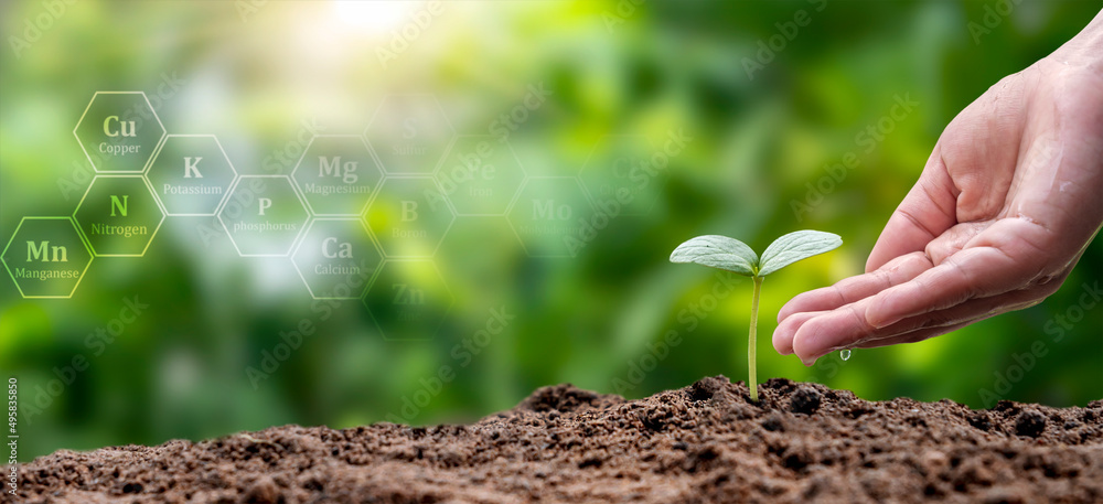hands watering plants and trees growing on soil with eco concept plant growth factor icon earth day card protect environment to keep the earth clean