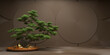 bonsai tree and gold stone on a  brown background. 3d rendering