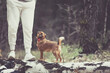 Woman with white pants standing next to a dog. Doggy attentively looking at the owner. Friendship vibes. Selective focus on the details, blurred background.
