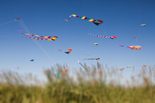 Colorful Kites Flying At A Kite Festival.