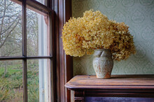 Dried Flowers In A Vase On A Shelf By A Window. 