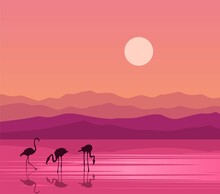 Sunset In The Mountains Flamingo Lake 