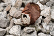 © Juan Garcia - Rusty metal can on ground