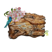 Wooden Plank With Spring Bloming Flowers, Bird Watercolor Illustration