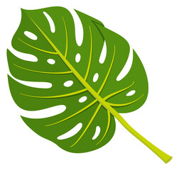 Poster - Monstera leaf. Tropical plant icon. Green foliage