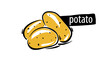 Drawn potato isolated on a white background