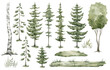 Watercolor set with trees, grass, rocks, fir-trees. Pine, spruce, aspen, birch tree, grass. Forest elements for landscape