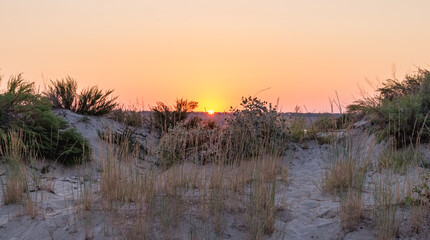 Poster - sunset over the summer field..