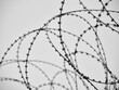 barbed wire used in war zone