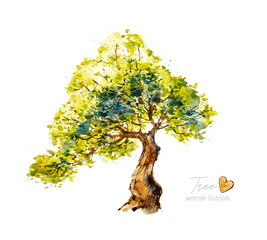 tree isolated on white background. watercolor tree, botanical hand drawn nature. natural illustratio