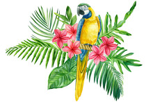 Watercolor Tropical Bird Parrot And Plumeria Flowers. Macaw, Floral Illustration Isolated On White Background For Design