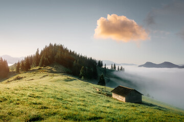 Wall Mural - mountain valley during sunrise. alone house on foggy meadow. located place: carpathians, ukraine, eu