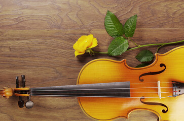 Wall Mural - Violin and yellow rose on wooden texture background.