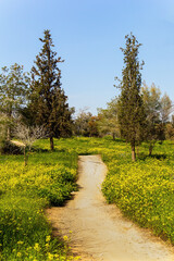 Sticker - Kibbutz Beeri in the Israel.