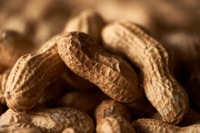 Dried Whole Peanuts