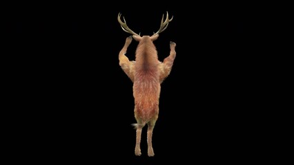 Wall Mural - deer dancing cg fur 3d rendering animal realistic cgi vfx animation loop composition 3d mapping cart