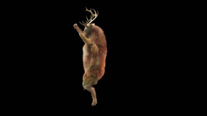 Wall Mural - deer dancing cg fur 3d rendering animal realistic cgi vfx animation loop composition 3d mapping cart