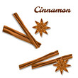 Cinnamon sticks and star anise. Vector realistic isolated set of drawings  on a white background.
