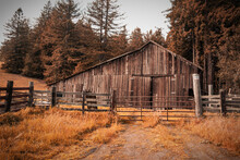 Brown Tint Old Barn Sonoma County