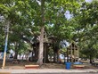 Columbus Park treehouse Parque Colon playground in the park in Aguadilla, Puerto Rico