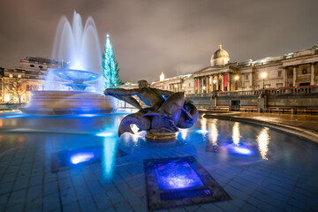 Canvas Print - Trafalgar Square with Christmas tree in London England 