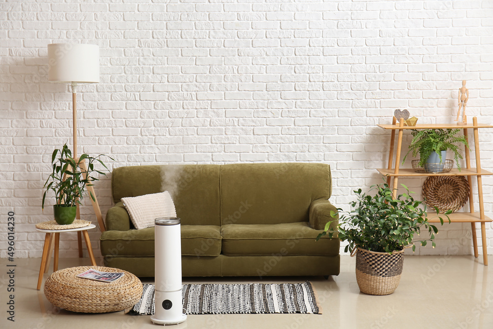 Interior of stylish living room with humidifier