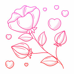 Wall Mural - Wedding rose flower illustration with hand drawn outline doodle style