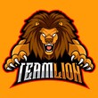 head lion mascot esport logo vector illustration