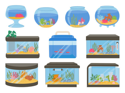cartoon empty glass aquarium tanks with decorations, sand and plants. square and sphere fish bowls a