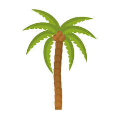 Poster - coconut palm design