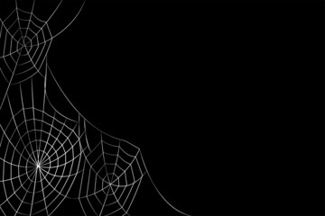 Wall Mural - halloween cobweb background. halloween cobweb wallpaper.