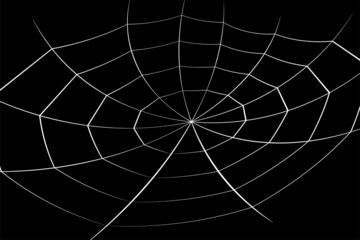 Wall Mural - halloween cobweb background. halloween cobweb wallpaper.
