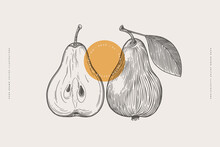 Hand-drawn Pear Fruit In Engraving Style. Dessert Fruits, Sliced And Whole. Design Element For Markets, Shops, Cafes, Restaurants And Packaging. Vintage Botanical Illustration.
