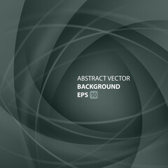 Wall Mural - abstract grey smooth light lines vector background. trendy modern design template for banner or post