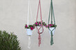 homemade plant hangers in different colors against grey wall