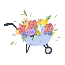 Big Bouquet Of Flowers With Leaves In A Garden Cart. Spring Flowers In Cute Blue Garden Cart. Spring Concept.