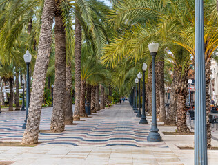 Wall Mural - A view up the esplanade in the centre of Alicante on a spring day