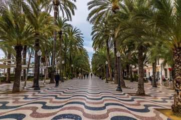 Wall Mural - A view from the centre of  the esplanade in Alicante on a spring day