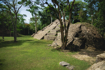 Wall Mural - Maya pyramid ruin at 'Cahal Pech' in San Ignacio, Belize