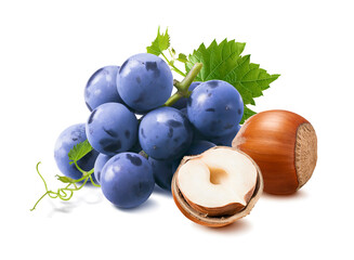 Wall Mural - bunch of blue grapes and hazelnuts isolated on white background. nuts and berries.