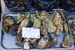 Oysters for sale in the public fishmarket of Catania, Sicily, Italy