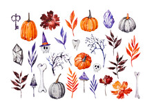 Watercolor Set Of Halloween Elements. Bright Hand-drawn Pumpkins, Mushrooms, Bones, Autumn Flowers And Leaves Drawn By Hand. Watercolor Painting On White Background. 