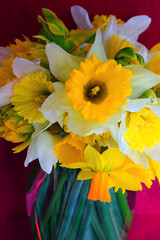 Wall Mural - Bouquet of colorful yellow, orange and white daffodil flowers in a vase