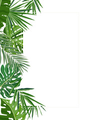 vertical background with exotic palm leaves frame