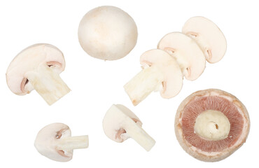 Wall Mural - Mushrooms isolated on a white background. top view. Flat lay