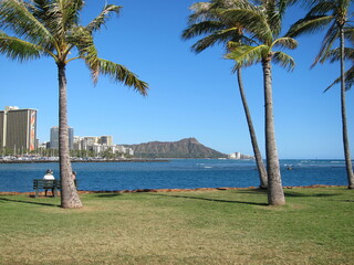 View of Waikiki beach and Diamond Head mountain summit from between palm trees. Green grass, blue sky with no clouds, deep blue sea, skyline, wooden bench. Ala Moana, Oahu, Honolulu, Hawaii.