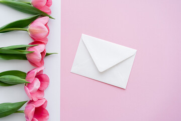 Wall Mural - top view of envelope near blossoming tulips on white and pink.