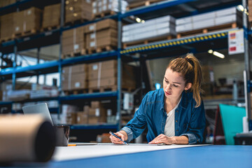 Wall Mural - Young woman working in an industrial place of work
