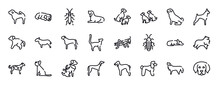 Pet Lovers Thin Line Icons Collection. Pet Lovers Editable Outline Icons Set. Pug, Boxer, Scold The Dog, Bullterrier, Bullmastiff, Bengal Cat Stock Vector.