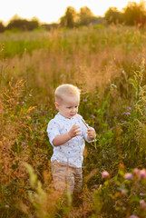 the child is walking. a boy in nature. summer days. sunny weather. a happy child.